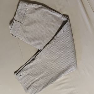 Ann Taylor Factory Julie Cury Capri